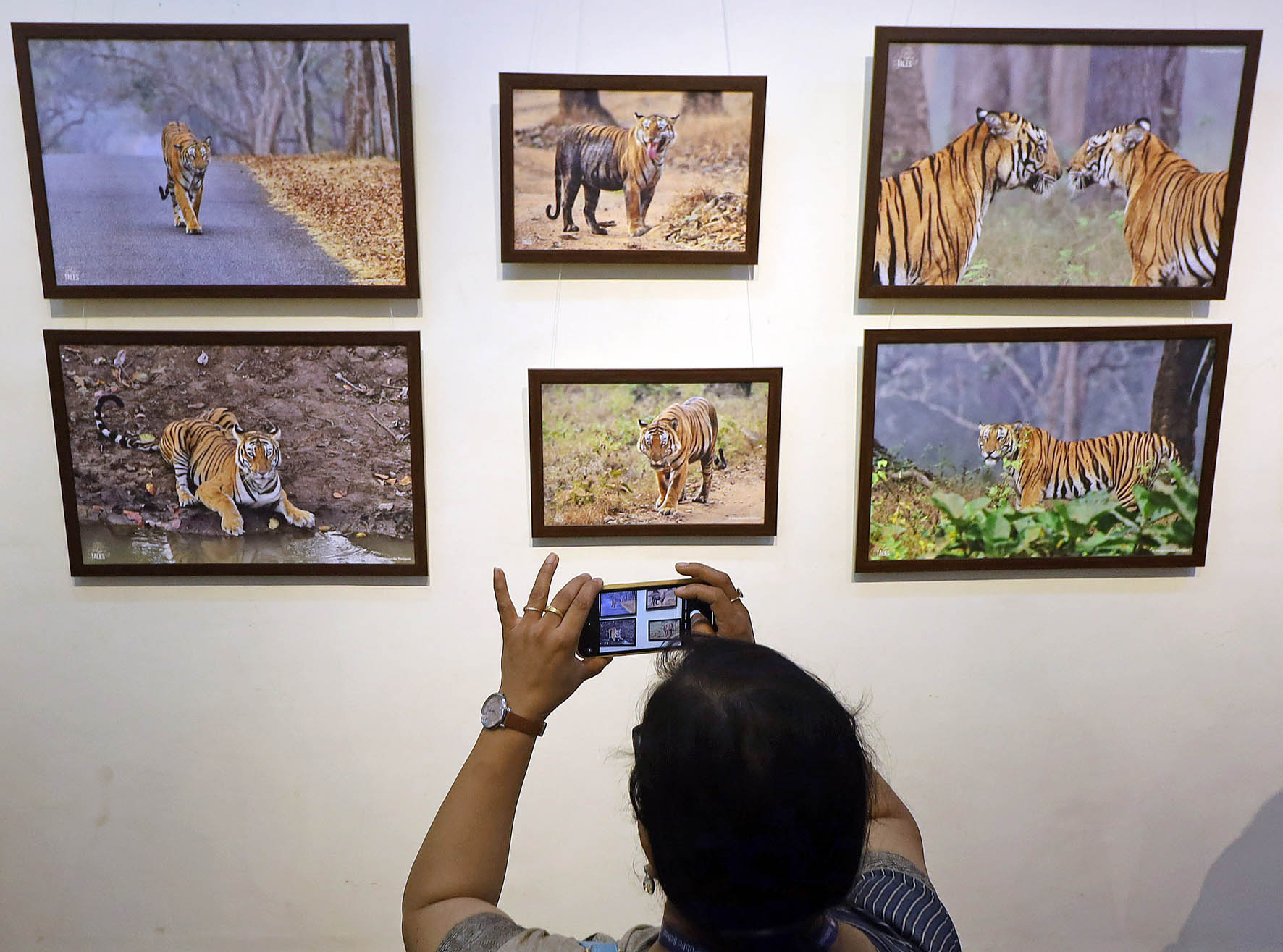 ಛಾಯಾಚಿತ್ರದಿಂದ ಆತ್ಮಸ್ಥೈರ್ಯ ಹೆಚ್ಚಳ: ಸಂಜಯ್ ಗುಬ್ಬಿ