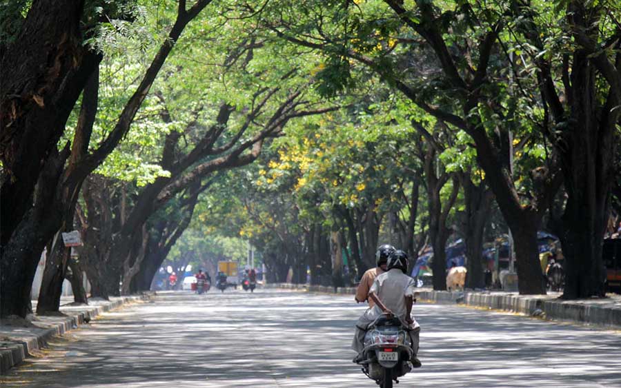 ಕೃಷಿ ಇಲಾಖೆ-ಜಲಾನಯನ ಅಭಿವೃದ್ಧಿ ಇಲಾಖೆಯಿಂದ ಜೂ. 5ರಂದು ಕೋಟಿ ವೃಕ್ಷ ಆಂದೋಲನ