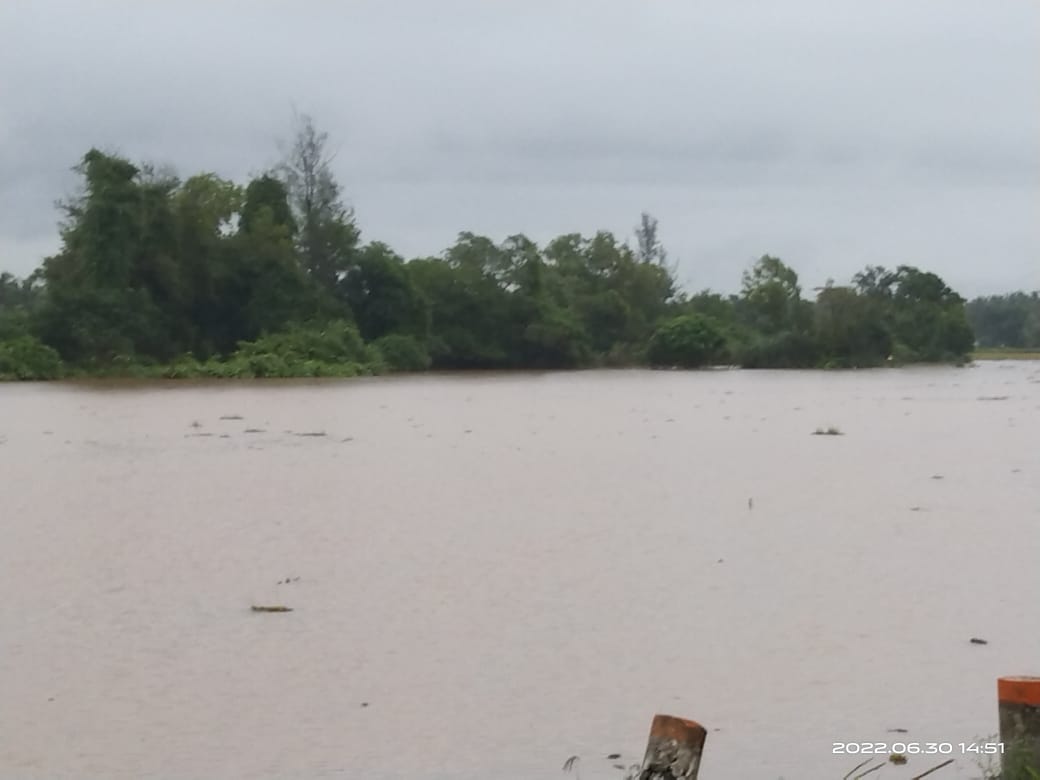 ಉಡುಪಿ ಜಿಲ್ಲೆಯಲ್ಲಿ ಧಾರಾಕಾರ ಮಳೆ: ತಗ್ಗು ಪ್ರದೇಶಗಳು ಜಲಾವೃತ್ತ