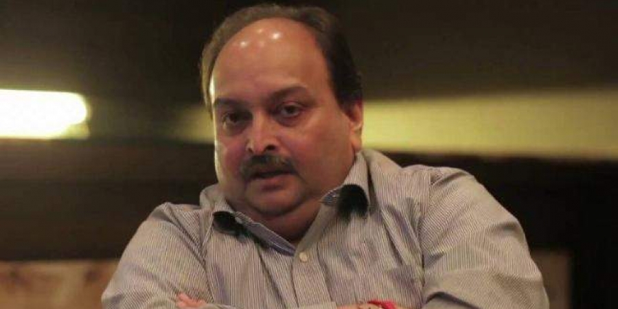 ಪಿಎನ್ಬಿ ವಂಚನೆ ಪ್ರಕರಣ: ಮೆಹುಲ್ ಚೋಕ್ಸಿ ಪತ್ನಿ, ಇತರರ ವಿರುದ್ಧ ಇ.ಡಿ.ಯಿಂದ ಆರೋಪ ಪಟ್ಟಿ ಸಲ್ಲಿಕೆ