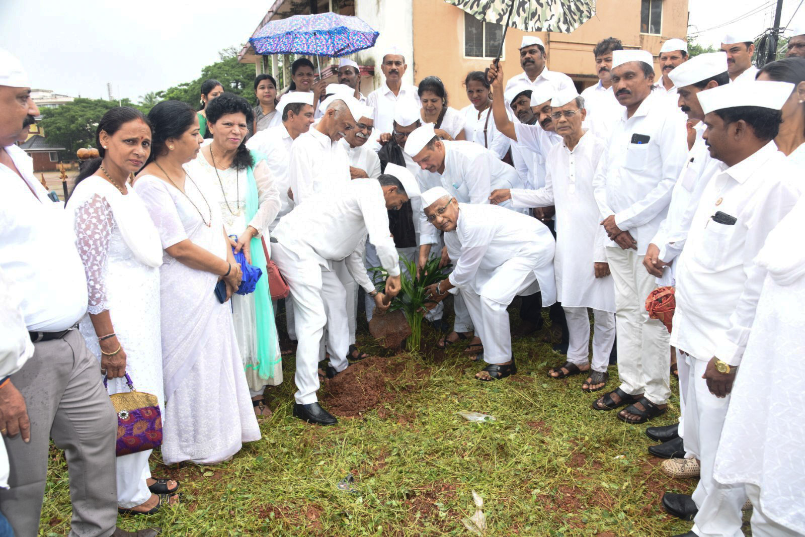 ಮಂಗಳೂರು: ಕಾಂಗ್ರೆಸ್ ಸೇವಾದಳ ವತಿಯಿಂದ ವನಮಹೋತ್ಸವ