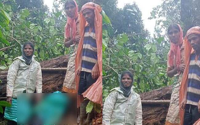 ಕಳಸ: ಮರ ಬಿದ್ದು ಯುವತಿ ಸ್ಥಳದಲ್ಲೇ ಮೃತ್ಯು