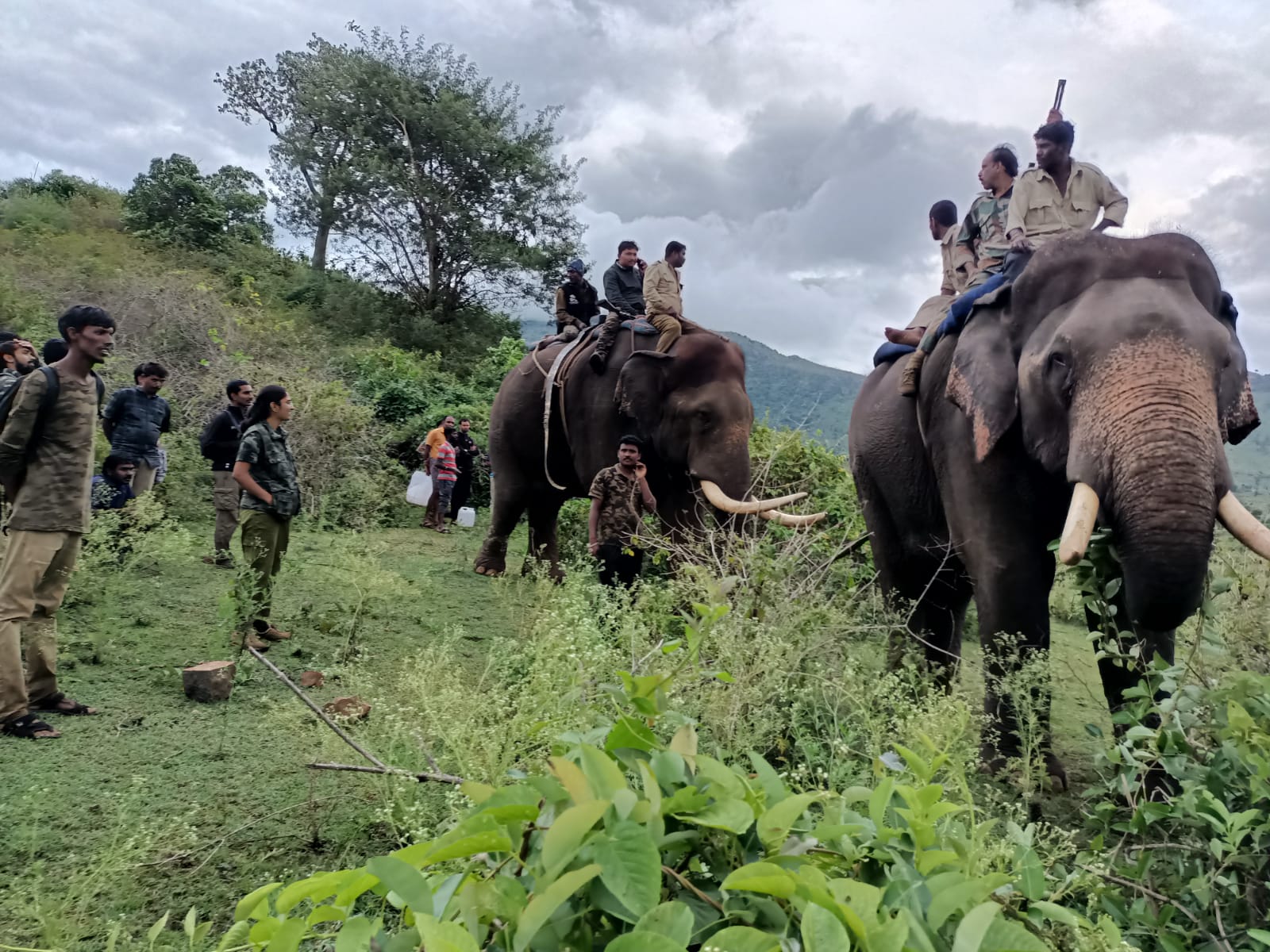 ಚಾಮರಾಜನಗರ: ಗ್ರಾಮಕ್ಕೆ ಲಗ್ಗೆ ಇಟ್ಟ ಕಾಡಾನೆಗಳ ಸೆರೆಗೆ ಆಪರೇಷನ್ ಎಲಿಫೆಂಟ್