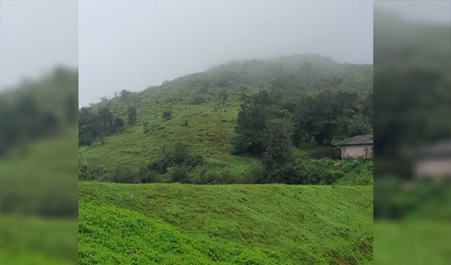 ಕಸ್ತೂರಿ ರಂಗನ್ ವರದಿ ಅನುಷ್ಠಾನಕ್ಕೆ ವಿರೋಧ; ಮೂರು ಜಿಲ್ಲೆಗಳ ಬಂದ್‍ಗೆ ವಿವಿಧ ಸಂಘಟನೆಗಳಿಂದ ನಿರ್ಧಾರ