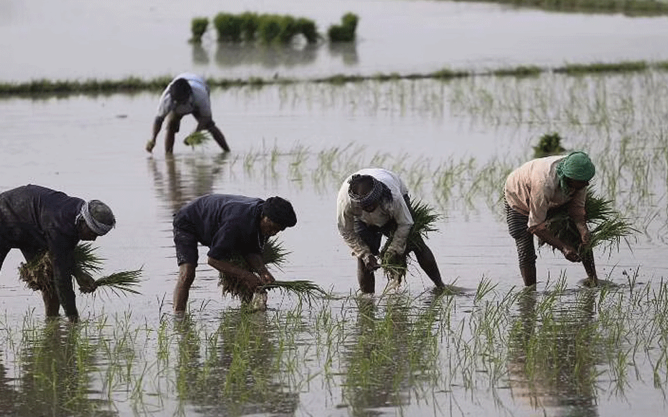 ರೈತರಿಗೆ ಎಂಎಸ್‍ಪಿ ಖಾತರಿಗೊಳಿಸುವ ವ್ಯವಸ್ಥೆ ಜಾರಿಯಾಗಬೇಕು: ಆರೆಸ್ಸೆಸ್ ಸಂಯೋಜಿತ ಭಾರತೀಯ ಕಿಸಾನ್ ಸಂಘ