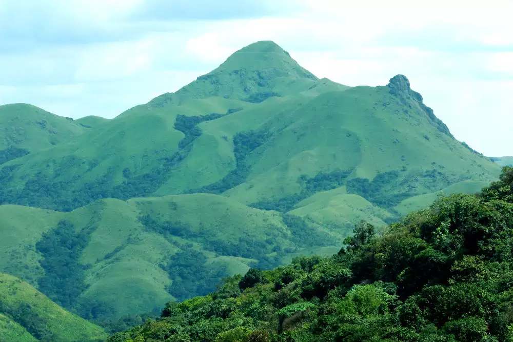 ಪರಿಸರ-ಮನುಷ್ಯ ಸಂಘರ್ಷದ ನಡುವೆ ಕಸ್ತೂರಿ ರಂಗನ್ ವರದಿ