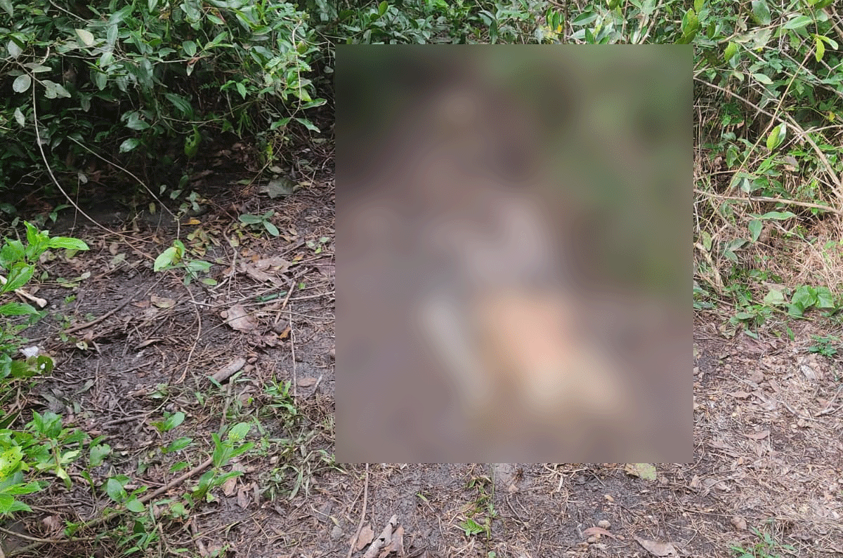 ಭಟ್ಕಳ: ಅಸ್ಥಿಪಂಜರ ಪತ್ತೆ