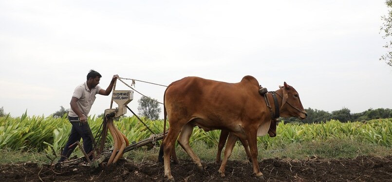 ಪಿಎಂ ಕಿಸಾನ್ ಯೋಜನೆಯಡಿ ಸಹಾಯಧನಕ್ಕೆ ಇ-ಕೆವೈಸಿ ಕಡ್ಡಾಯ