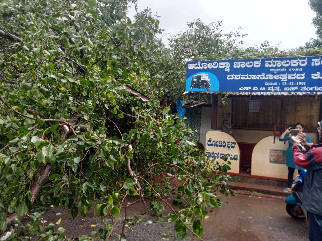 ಭಾರಿ ಗಾಳಿ, ಮಳೆ; ಕಾರ್ಕಳ ತಾಲೂಕಿನ ವಿವಿಧೆಡೆ ಹಾನಿ