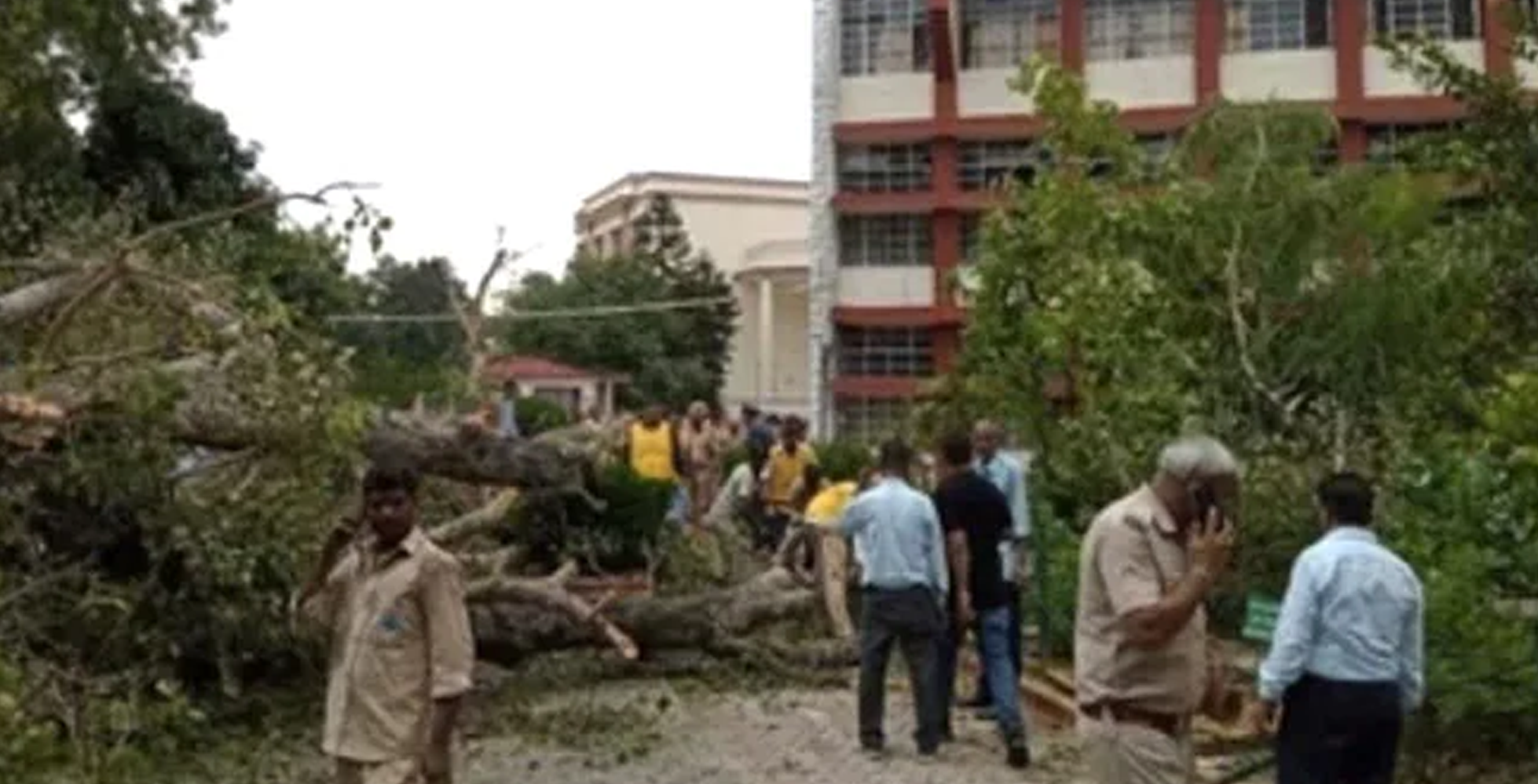 ಚಂಡಿಗಢ:  ಶಾಲಾ ಮಕ್ಕಳ ಮೇಲೆ ಬಿದ್ದ ಬೃಹತ್ ಮರ, ಓರ್ವ ವಿದ್ಯಾರ್ಥಿ ಸಾವು, ಹಲವರಿಗೆ ಗಾಯ