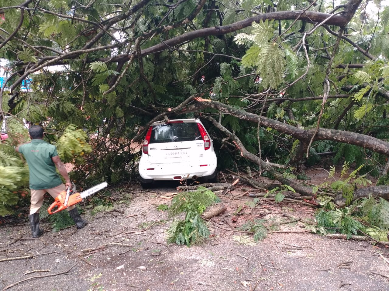 ಉಡುಪಿ | ಬ್ರಹ್ಮಗಿರಿಯಲ್ಲಿ ರಸ್ತೆಗೆ ಬಿದ್ದ ಮರ: ದ್ವಿಚಕ್ರ ವಾಹನ ಸವಾರನಿಗೆ ಗಾಯ, ಕಾರು ಜಖಂ