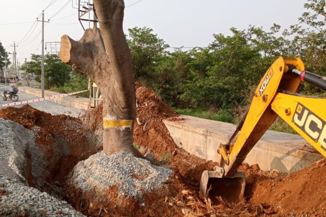ಹೆದ್ದಾರಿ ಅಗಲೀಕರಣ | ಮರಗಳ ಸ್ಥಳಾಂತರಕ್ಕೆ ಲೋಕೋಪಯೋಗಿ ಇಲಾಖೆ ಕ್ರಮ: ಸಚಿವ ಸಿ.ಸಿ.ಪಾಟೀಲ್