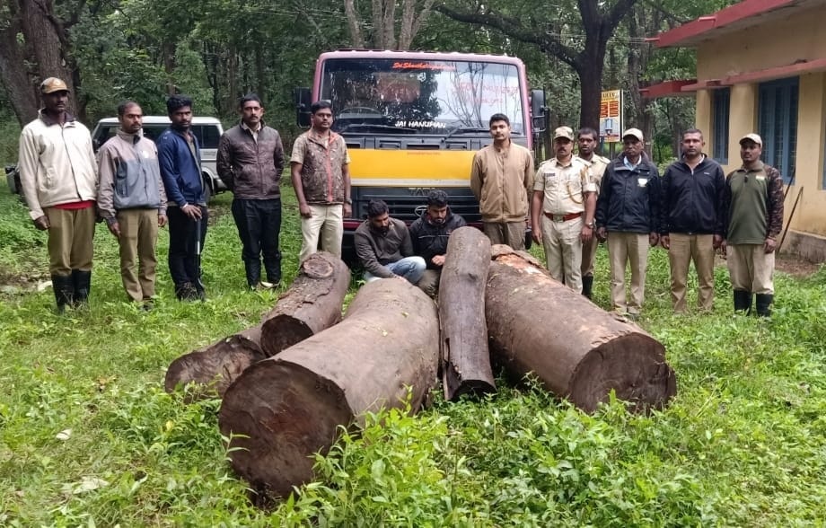 ಸೋಮವಾರಪೇಟೆ | ಬೀಟೆ ಮರಗಳ  ಅಕ್ರಮ ಕಡಿತಲೆ: ಆರೋಪಿಗಳ ಬಂಧನ