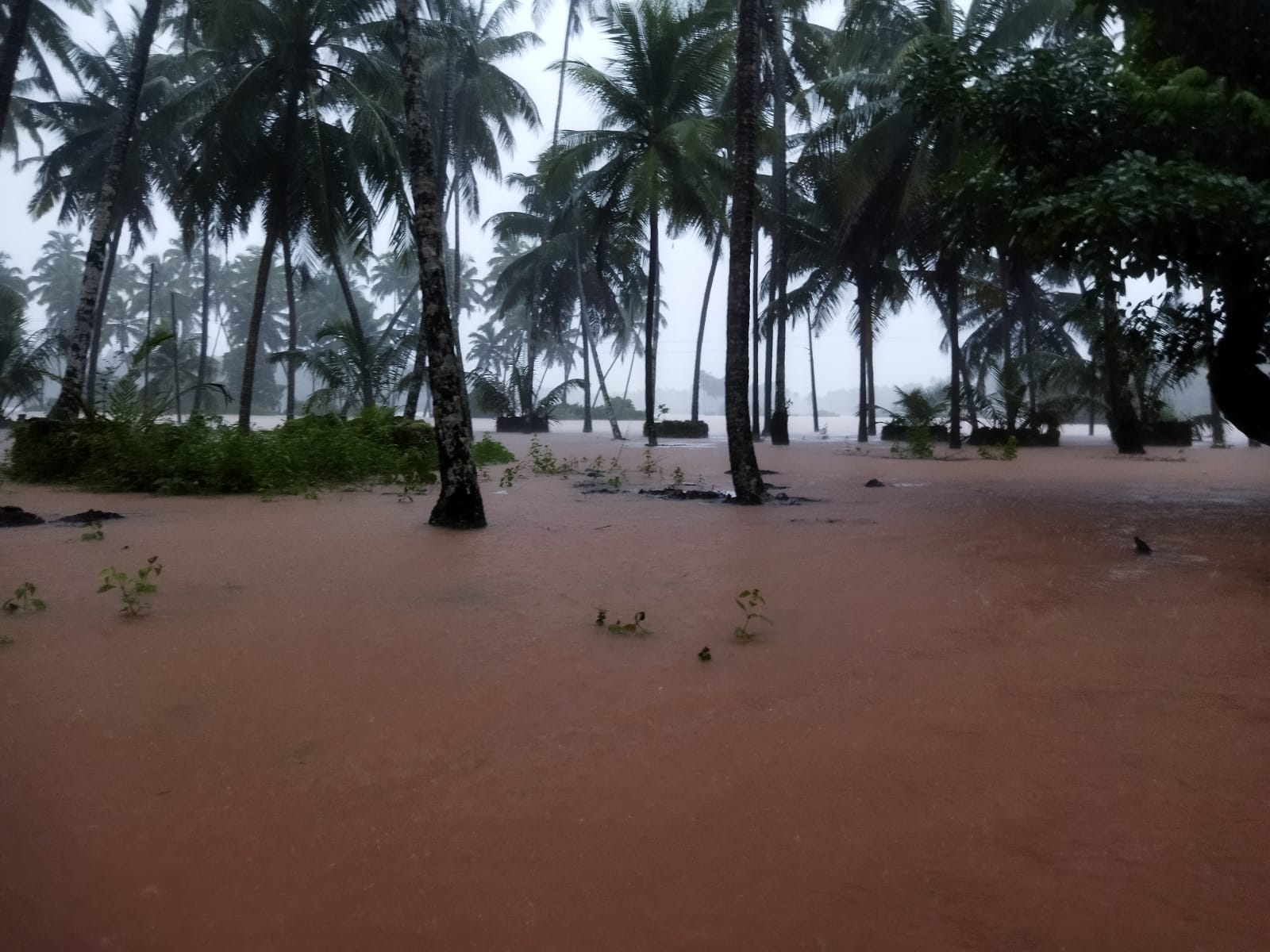 ಭಟ್ಕಳದಲ್ಲಿ ಭಾರೀ ಮಳೆ: ತಾಲ್ಲೂಕಿನ ಶಾಲಾ ಕಾಲೇಜುಗಳಿಗೆ ರಜೆ ಘೋಷಣೆ