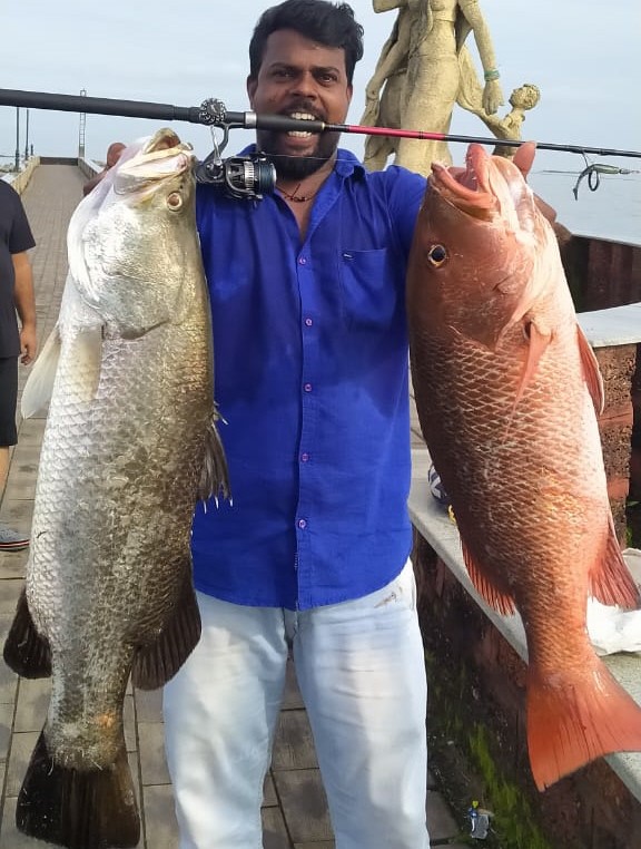 ಮಲ್ಪೆಯಲ್ಲಿ ಗಾಳಕ್ಕೆ ಸಿಕ್ಕಿದ ಬೃಹತ್ ಗಾತ್ರದ ಕುಲೇಜ್, ಕೆಂಬೆರಿ ಮೀನು!