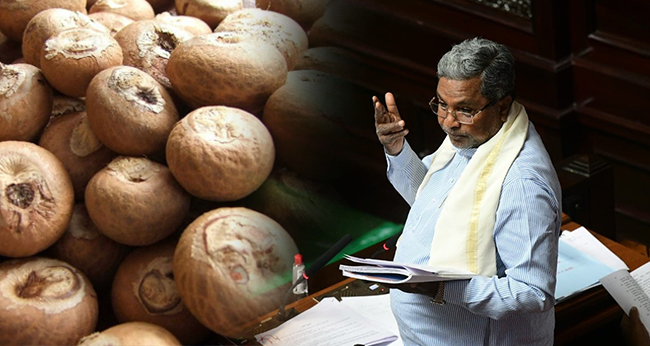 ಅಡಿಕೆ ಮೇಲೆ GST ಹೆಚ್ಚಳ; ಕೇಂದ್ರ ಸರಕಾರದ ನಡೆಗೆ ಸಿದ್ದರಾಮಯ್ಯ ಖಂಡನೆ