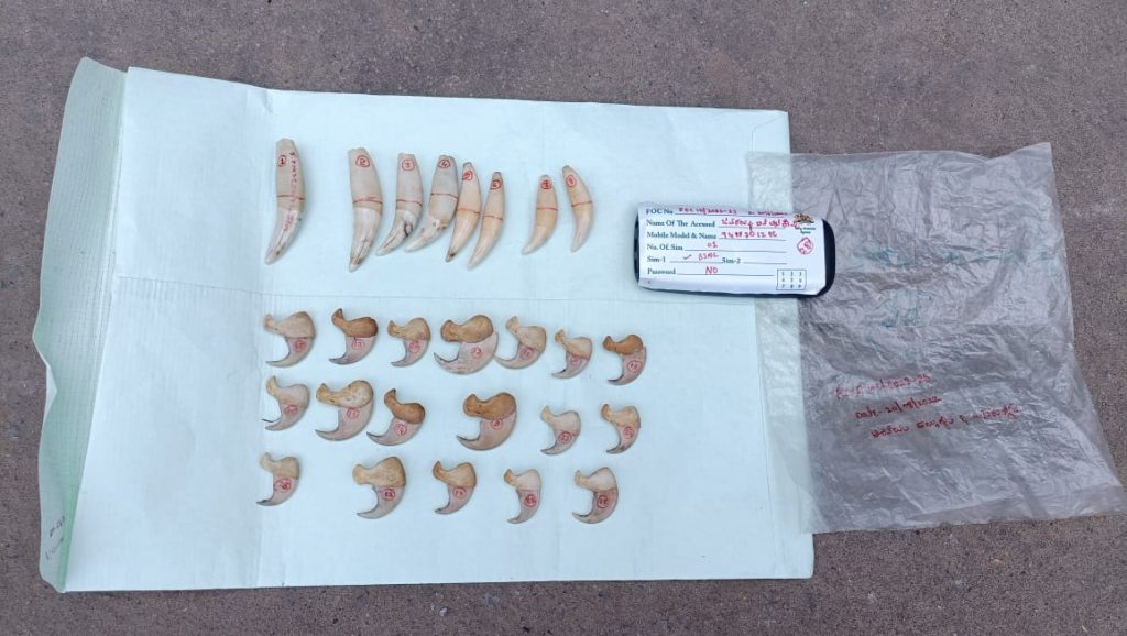 ಚಿರತೆ ಹಲ್ಲು, ಉಗುರು ಮಾರಾಟಕ್ಕೆ ಯತ್ನ: ಮೂವರು ಆರೋಪಿಗಳ ಬಂಧನ