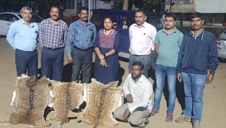 ಜಿಂಕೆ ಚರ್ಮ ಮಾರಾಟ ಯತ್ನ: ಆರೋಪಿಯ ಬಂಧನ