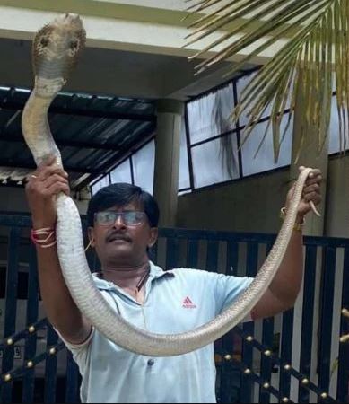 ಹಾವು ಕಡಿತಕ್ಕೊಳಗಾಗಿ ಸ್ನೇಕ್ ಲೋಕೇಶ್ ಮೃತ್ಯು