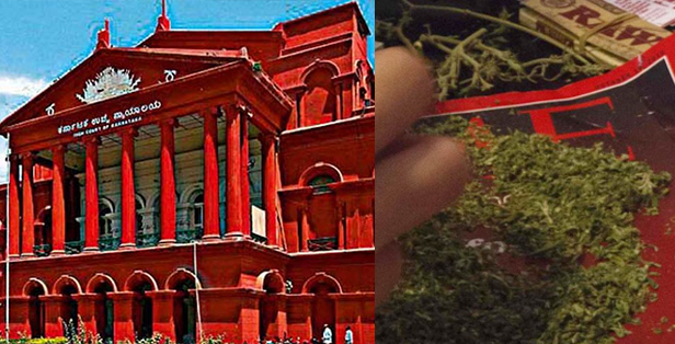 ಎನ್‍ಡಿಪಿಎಸ್ ಕಾಯ್ದೆಯಡಿ ಭಾಂಗ್ ನಿಷೇಧಿಸಲಾಗಿಲ್ಲ: ಹೈಕೋರ್ಟ್