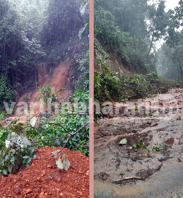 ಕಾಸರಗೋಡು | ಭಾರೀ ಮಳೆ: ಮಹಿಳೆ ನೀರುಪಾಲು, ಭೂಕುಸಿತ