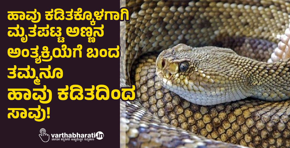 ಹಾವು ಕಡಿತಕ್ಕೊಳಗಾಗಿ ಮೃತಪಟ್ಟ ಅಣ್ಣನ ಅಂತ್ಯಕ್ರಿಯೆಗೆ ಬಂದ ತಮ್ಮನೂ ಹಾವು ಕಡಿತದಿಂದ ಸಾವು!