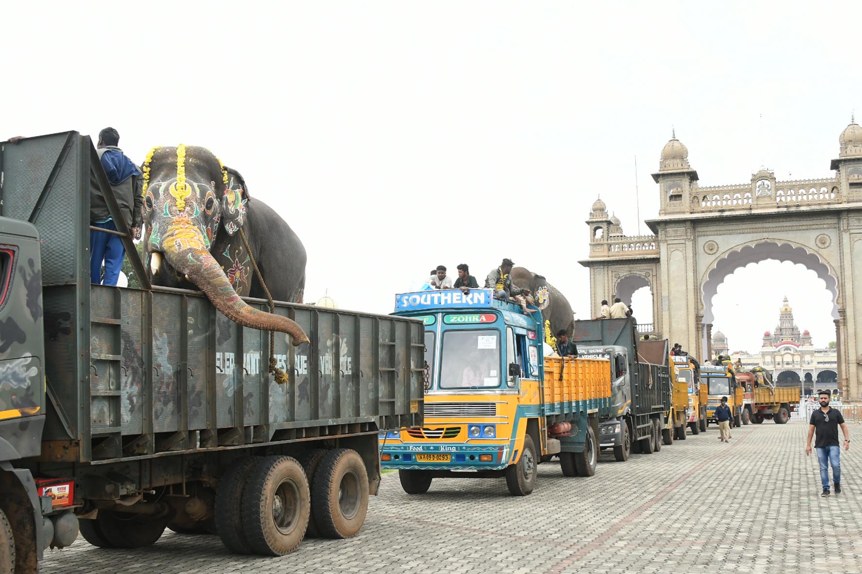 ಈ ಬಾರಿ  ಅದ್ದೂರಿ ದಸರಾ,14 ಆನೆಗಳು ಭಾಗಿ: ಸಚಿವ ಎಸ್.ಟಿ. ಸೋಮಶೇಖರ್