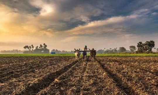 ಸುದ್ದಿ ಕೃಷಿ ಸೇವಾ ಕೇಂದ್ರದಿಂದ  ಕೃಷಿಕರಿಗೆ ಸಂಪೂರ್ಣ ಸ್ವಾತಂತ್ರ್ಯಆಂದೋಲನ -ಡಾ.ಯು.ಪಿ.ಶಿವಾನಂದ