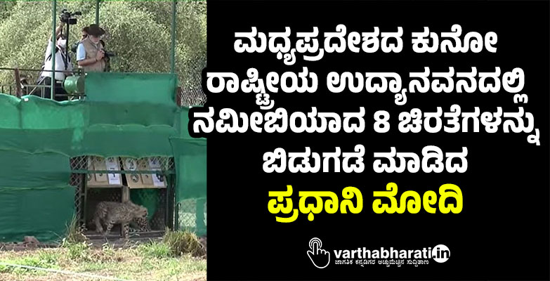 ಮಧ್ಯಪ್ರದೇಶದ ಕುನೋ ರಾಷ್ಟ್ರೀಯ ಉದ್ಯಾನವನದಲ್ಲಿ ನಮೀಬಿಯಾದ 8 ಚಿರತೆಗಳನ್ನು ಬಿಡುಗಡೆ ಮಾಡಿದ ಪ್ರಧಾನಿ ಮೋದಿ ಮಧ್ಯಪ್ರದೇಶದ ಕುನೋ ರಾಷ್ಟ್ರೀಯ ಉದ್ಯಾನವನದಲ್ಲಿ ನಮೀಬಿಯಾದ 8 ಚಿರತೆಗಳನ್ನು ಬಿಡುಗಡೆ ಮಾಡಿದ ಪ್ರಧಾನಿ ಮೋದಿ
