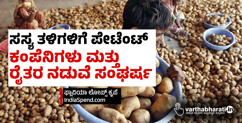 ಸಸ್ಯ ತಳಿಗಳಿಗೆ ಪೇಟೆಂಟ್: ಕಂಪೆನಿಗಳು ಮತ್ತು ರೈತರ ನಡುವೆ ಸಂಘರ್ಷ