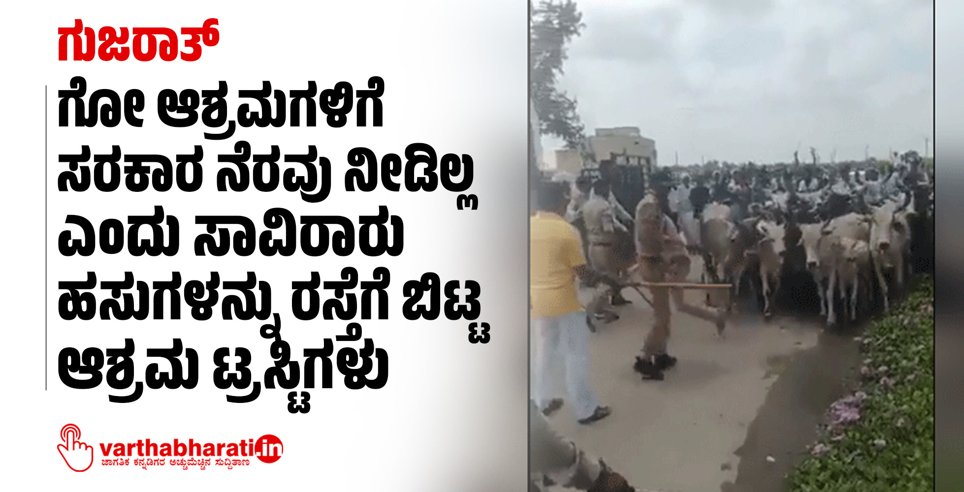 ಗುಜರಾತ್: ಗೋ ಆಶ್ರಮಗಳಿಗೆ ಸರಕಾರ ನೆರವು ನೀಡಿಲ್ಲ ಎಂದು ಸಾವಿರಾರು ಹಸುಗಳನ್ನು ರಸ್ತೆಗೆ ಬಿಟ್ಟ ಆಶ್ರಮ ಟ್ರಸ್ಟಿಗಳು