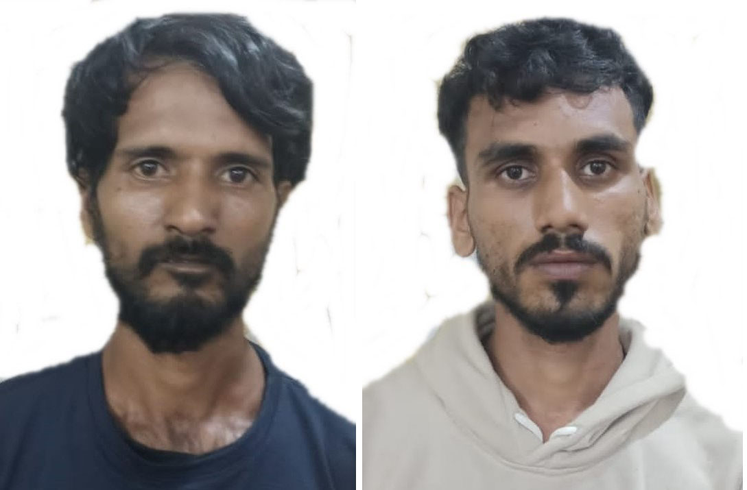 ಕಡವೆ ಮಾಂಸ ಸಾಗಾಟ: ಇಬ್ಬರು ಆರೋಪಿಗಳ ಬಂಧನ