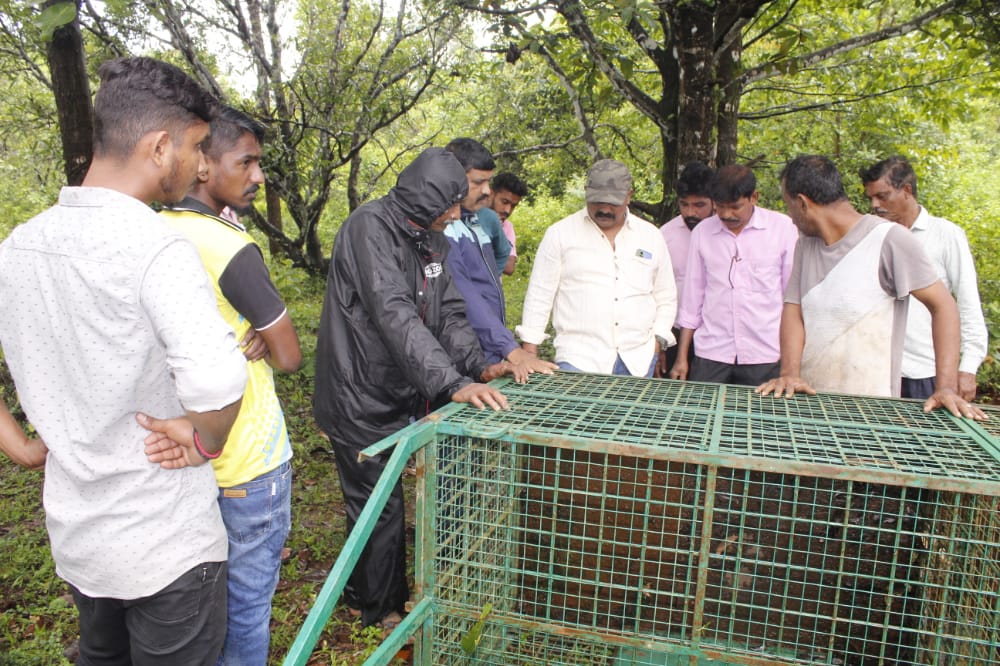ಕುಂದಾಪುರ: ಮನೆಯಂಗಳದಲ್ಲಿದ್ದ ಸಾಕು ನಾಯಿಯನ್ನು ಹೊತ್ತೊಯ್ದ ಚಿರತೆ, ಸ್ಥಳೀಯರಲ್ಲಿ ಭೀತಿ
