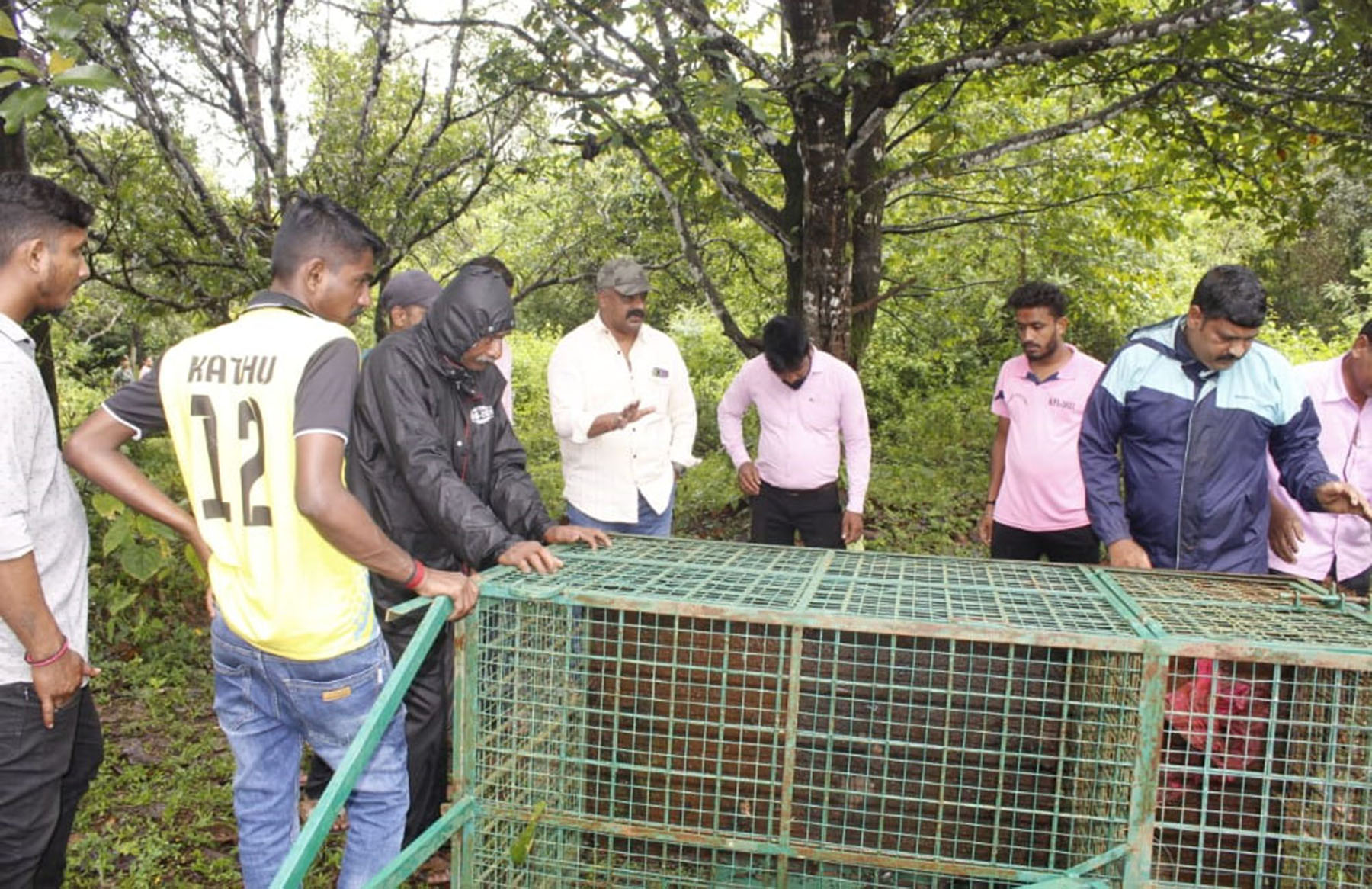ತೆಕ್ಕಟ್ಟೆ ಮಾಲಾಡಿಯಲ್ಲಿ ಚಿರತೆ ಪ್ರತ್ಯಕ್ಷ; ಬೋನಿಟ್ಟ ಅರಣ್ಯ ಇಲಾಖೆ