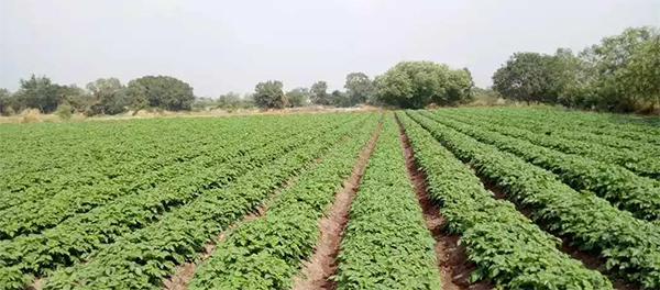 ಉಡುಪಿ:  ಕೃಷಿಗೆ ಸಂಬಂಧಿಸಿ ರಫ್ತುದಾರರ ಸಮಾವೇಶ