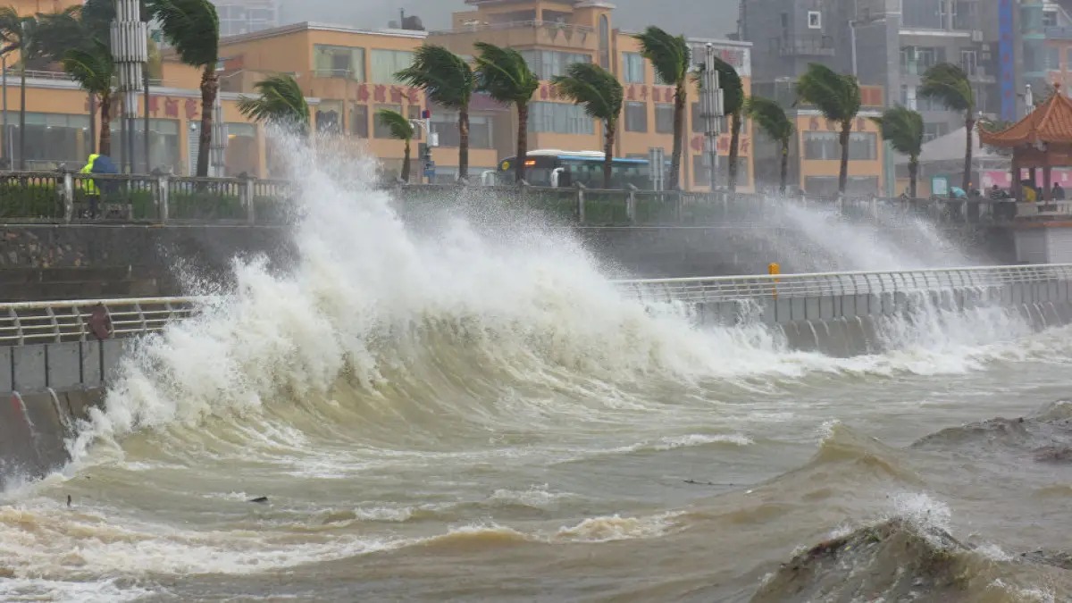 ಆಸ್ಟ್ರೇಲಿಯಾ: ನಿರಂತರ ಮಳೆ, ಪ್ರವಾಹದಿಂದ ಕನಿಷ್ಟ 20 ಮಂದಿ ಮೃತ್ಯು