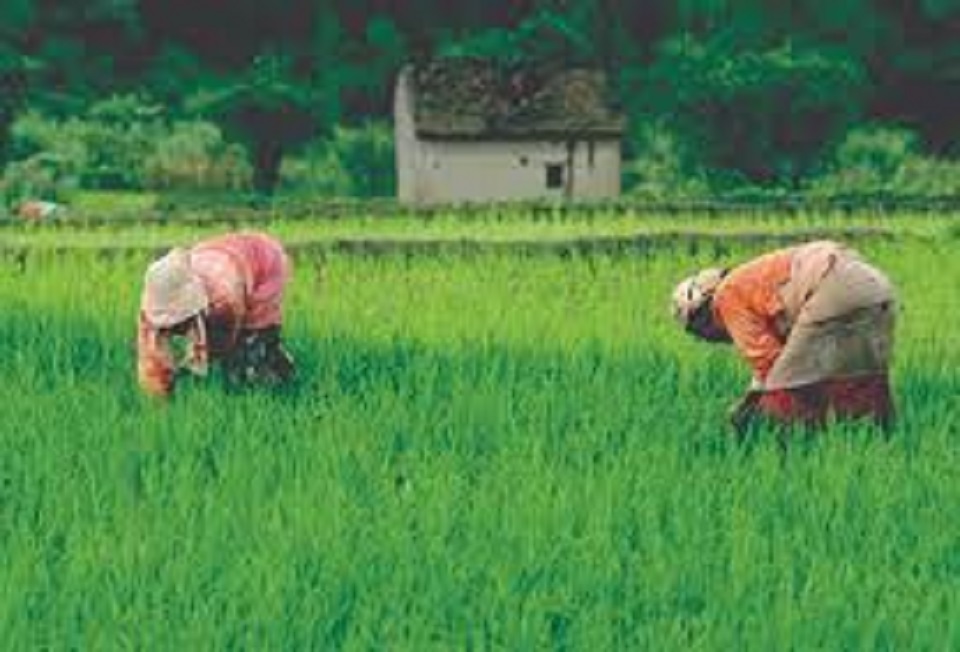 ಅ.22ಕ್ಕೆ ಬ್ರಹ್ಮಾವರದಲ್ಲಿ ಕೃಷಿ ಮಹೋತ್ಸವ