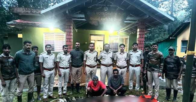 ದಬ್ಬಡ್ಕ ಅರಣ್ಯದಲ್ಲಿ ಕಡವೆ ಬೇಟೆ: ಇಬ್ಬರು ಆರೋಪಿಗಳ ಬಂಧನ
