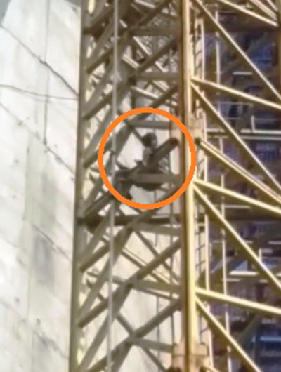 ಕಲಬುರಗಿ: ದೀಪಾವಳಿ ಬೋನಸ್ ನೀಡಿಲ್ಲ ಎಂದು ಟವರ್ ಏರಿದ ಕಾರ್ಮಿಕ