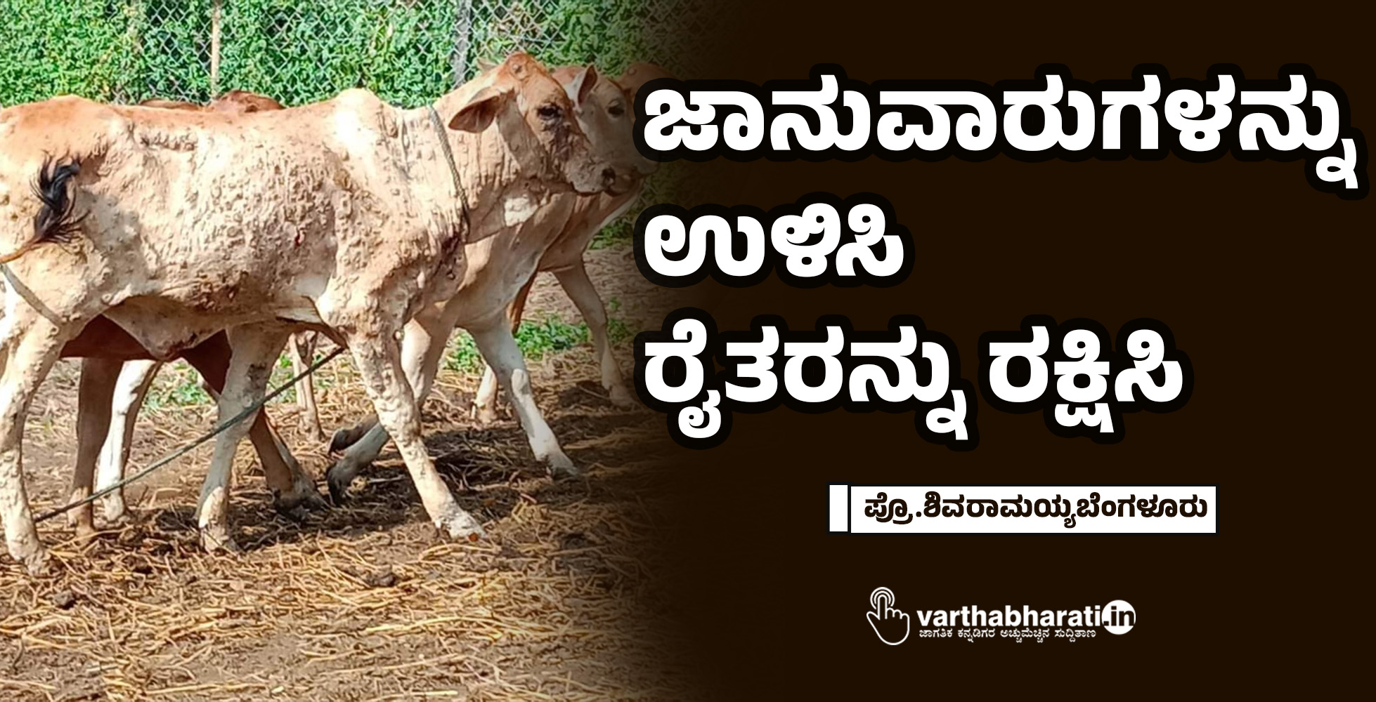 ಜಾನುವಾರುಗಳನ್ನು ಉಳಿಸಿ ರೈತರನ್ನು ರಕ್ಷಿಸಿ