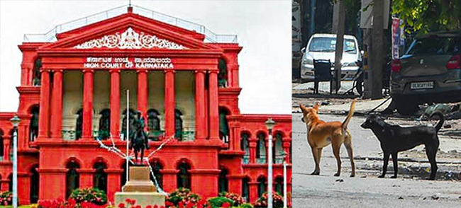 ನಾಯಿಯ ಸಾವಿಗೆ ಕಾರಣನಾದ ಚಾಲಕನನ್ನು ಶಿಕ್ಷಿಸಲು ಸಾಧ್ಯವಿಲ್ಲ: ಹೈಕೋರ್ಟ್