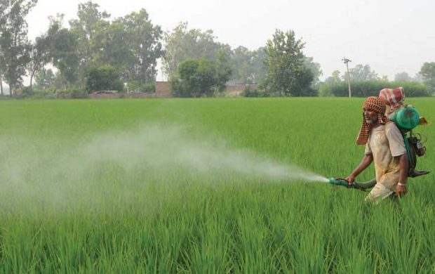 ಅ.10ಕ್ಕೆ ಪಾಂಬೂರಿನಲ್ಲಿ ಸಮಗ್ರ ಕೃಷಿ ಮಾಹಿತಿ