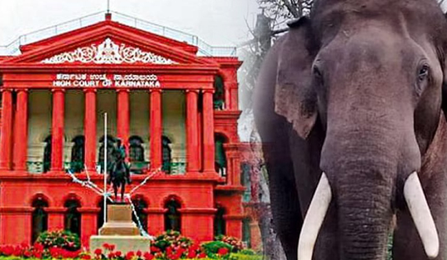 ವಿದ್ಯುತ್ ಸ್ಪರ್ಶದಿಂದ ಆನೆಗಳ ಸಾವು: ಸರಕಾರಕ್ಕೆ ಹೈಕೋರ್ಟ್ ನೋಟಿಸ್