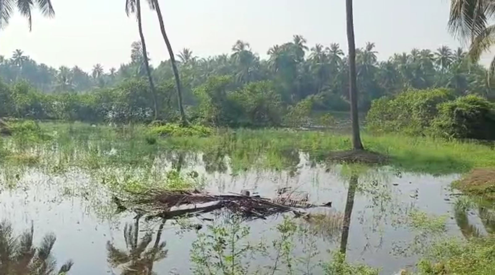 ಹೇರೂರು ಭಾಗದಲ್ಲಿ ನೀರು ಹರಿದು ಕೃಷಿ ಭೂಮಿಗೆ ಹಾನಿ