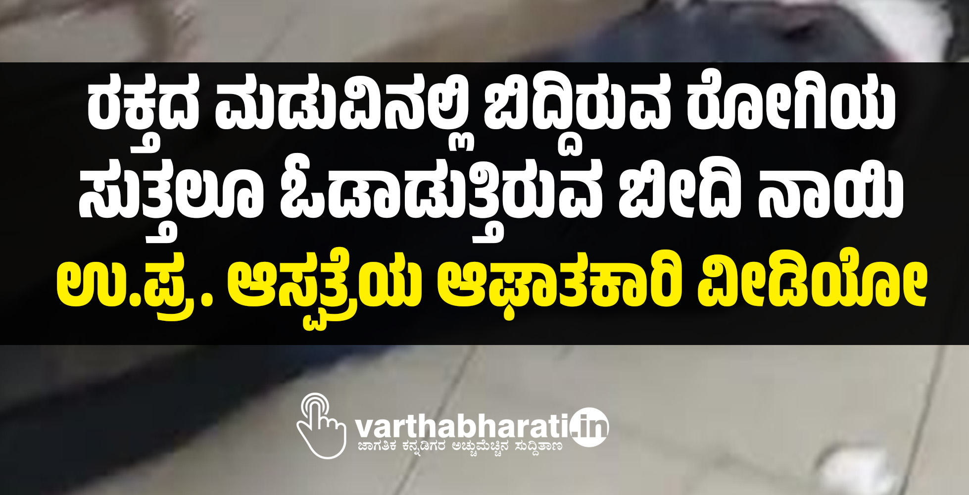 ರಕ್ತದ ಮಡುವಿನಲ್ಲಿ ಬಿದ್ದಿರುವ ರೋಗಿಯ ಸುತ್ತಲೂ ಓಡಾಡುತ್ತಿರುವ ಬೀದಿ ನಾಯಿ: ಉ.ಪ್ರ. ಆಸ್ಪತ್ರೆಯ ಆಘಾತಕಾರಿ ವೀಡಿಯೋ