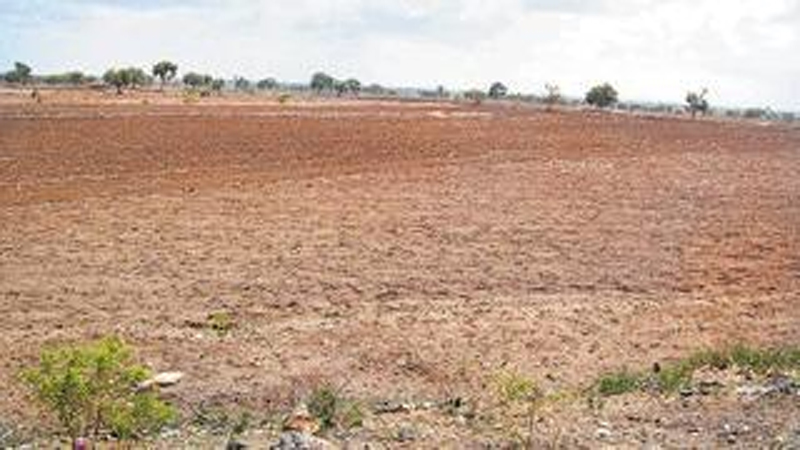 ದ.ಕ ಜಿಲ್ಲೆಯ ಕಬಕದಲ್ಲಿ ಕೆಎಸ್‌ಸಿಎಗೆ 23.25 ಎಕರೆ ಕಂದಾಯ ಜಮೀನನ್ನು ಗುತ್ತಿಗೆ ನೀಡಲು ಸಂಪುಟ ತೀರ್ಮಾನ