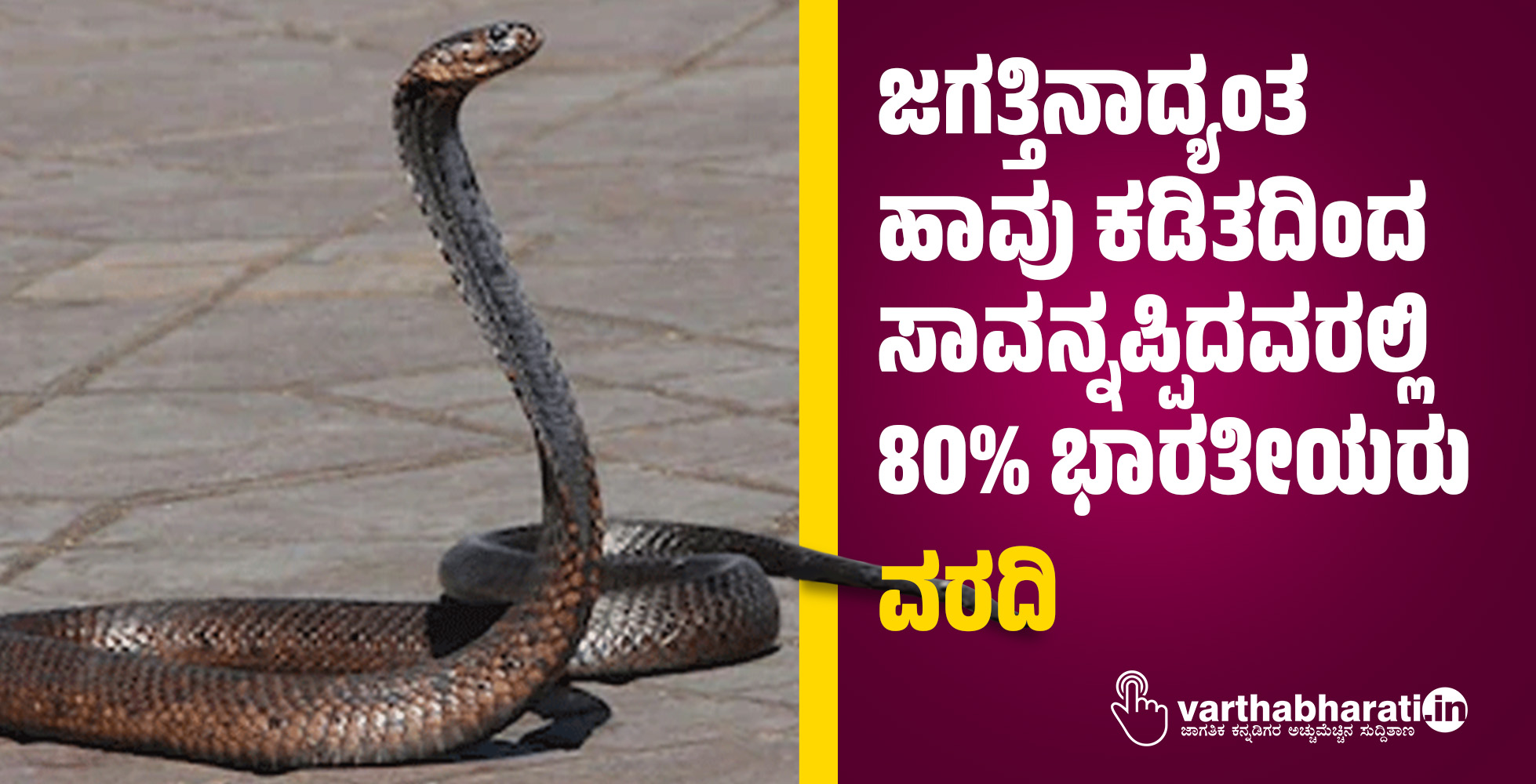 ಜಗತ್ತಿನಾದ್ಯಂತ ಹಾವು ಕಡಿತದಿಂದ ಸಾವನ್ನಪ್ಪಿದವರಲ್ಲಿ ಶೇ. 80% ಭಾರತೀಯರು: ವರದಿ