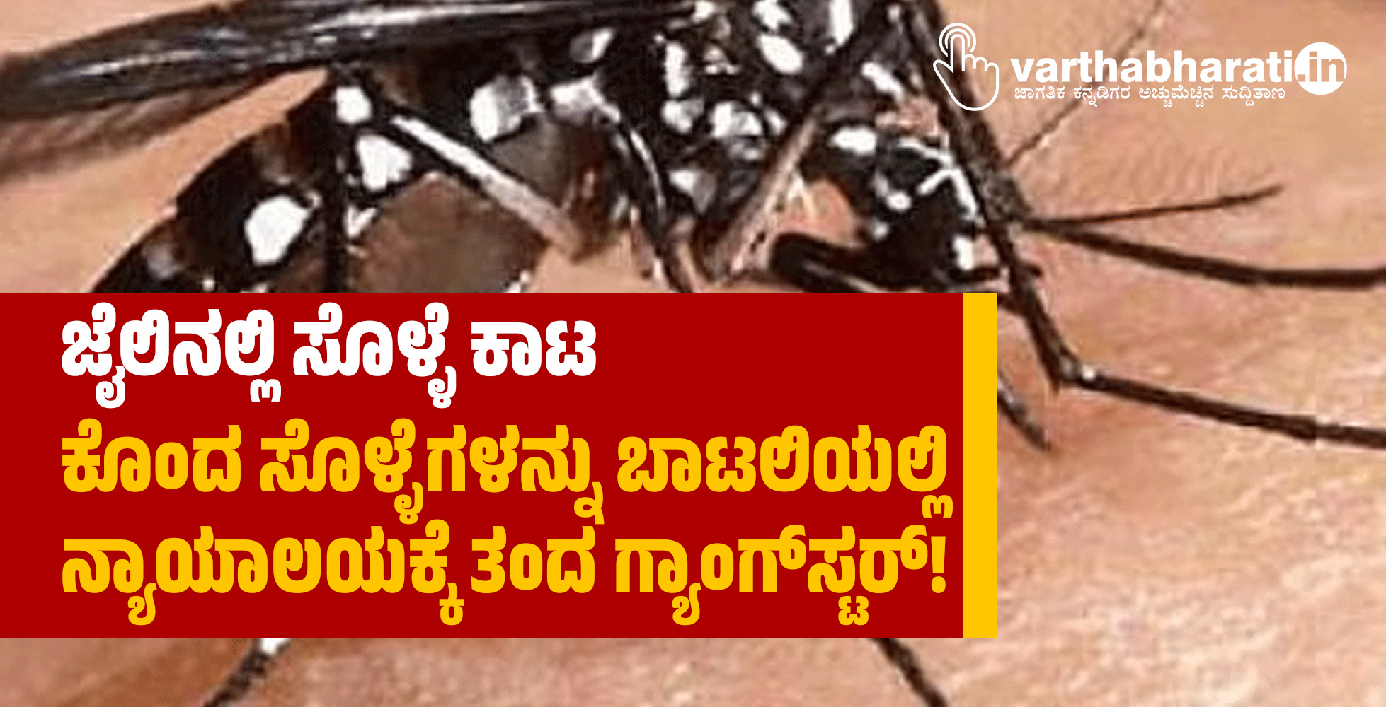 ಜೈಲಿನಲ್ಲಿ ಸೊಳ್ಳೆ ಕಾಟ: ಕೊಂದ ಸೊಳ್ಳೆಗಳನ್ನು ಬಾಟಲಿಯಲ್ಲಿ ನ್ಯಾಯಾಲಯಕ್ಕೆ ತಂದ ಗ್ಯಾಂಗ್‌ಸ್ಟರ್‌!