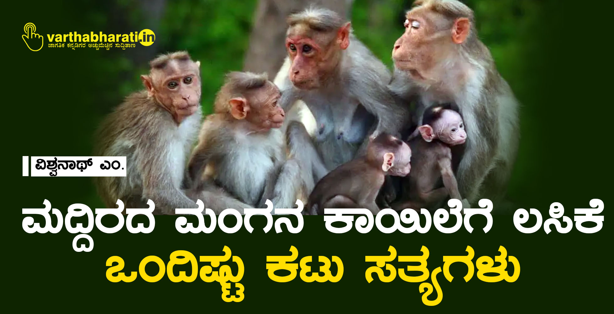 ಮದ್ದಿರದ ಮಂಗನ ಕಾಯಿಲೆಗೆ ಲಸಿಕೆ:  ಒಂದಿಷ್ಟು ಕಟು ಸತ್ಯಗಳು