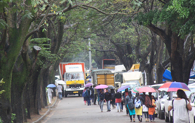 `ಮಾಂಡೌಸ್ ಚಂಡಮಾರುತ ಪ್ರಭಾವ; ಬೆಂಗಳೂರಿನಲ್ಲೂ ಜಿಟಿ ಜಿಟಿ ಮಳೆ, ಜನ ಜೀವನ ಅಸ್ತವ್ಯಸ್ತ